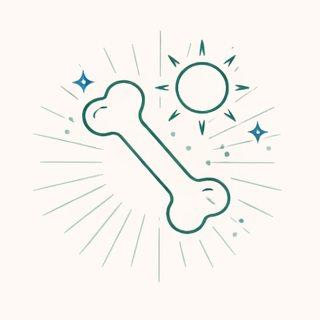 Bone Health
